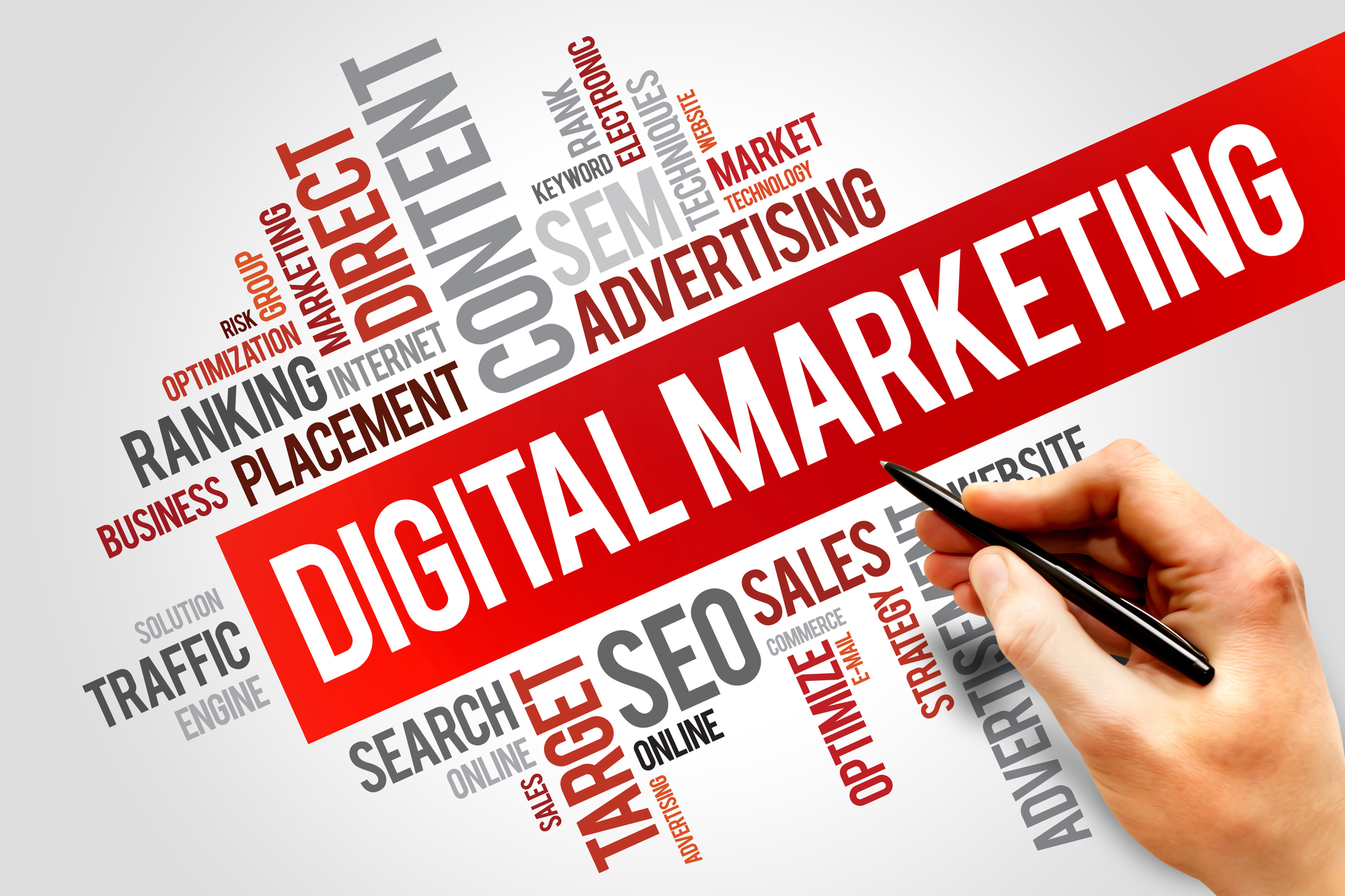 Digital Marketing - Paid, SEO, Content, Reputation