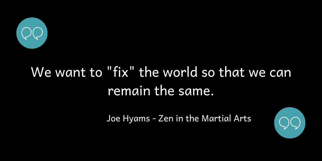 We want to fix the world so we remain the same!